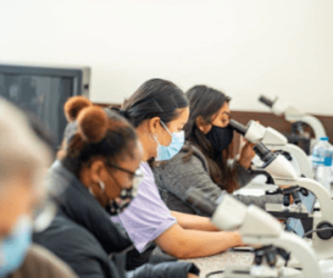 students-in-lab